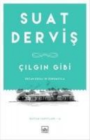 Книга Cilgin Gibi Suat Dervis