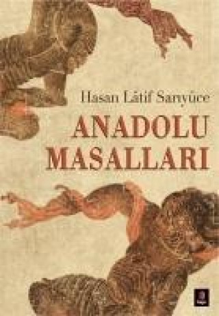 Kniha Anadolu Masallari Hasan Latif Sariyüce