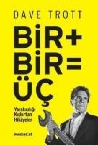 Libro BirBirÜc Dave Trott