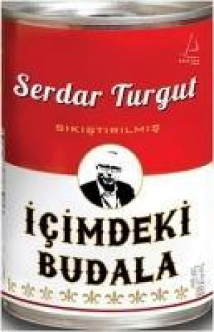 Knjiga Icimdeki Budala Serdar Turgut