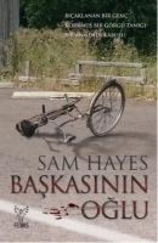 Libro Baskasinin Oglu Sam Hayes