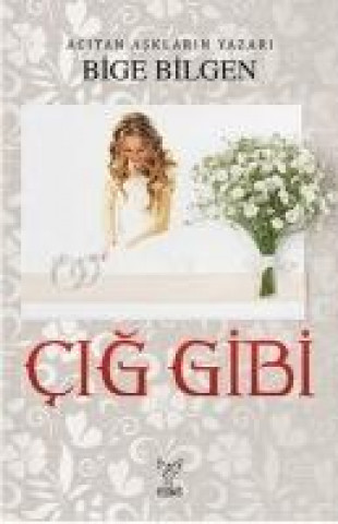 Buch Cig Gibi Bige Bilgen