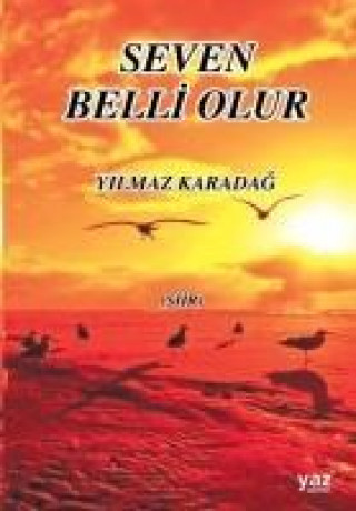 Book Seven Belli Olur Yilmaz Karadag