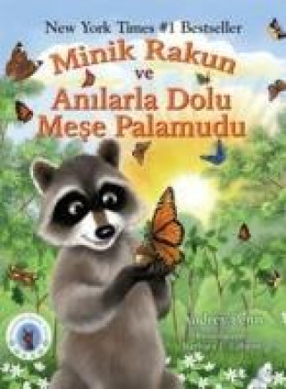Kniha Minik Rakun ve Anilarla Dolu Mese Palamudu Audrey Penn