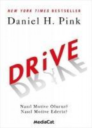 Knjiga Drive Daniel H. Pink