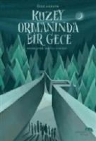 Kniha Kuzey Ormaninda Bir Gece Özge Akkaya