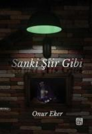 Книга Sanki Siir Gibi Onur Eker