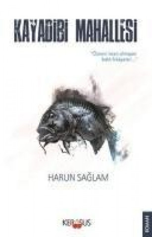 Kniha Kayadibi Mahallesi Harun Saglam