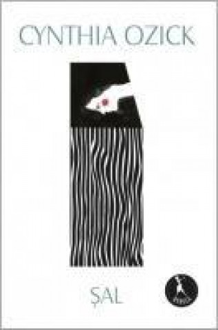 Buch Sal Cynthia Ozick
