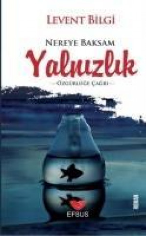 Libro Nereye Baksam Yalnizlik Levent Bilgi