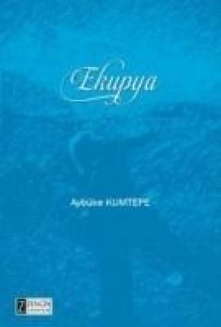 Knjiga Ekupya Aybüke Kumtepe