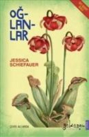 Book Oglanlar Jessica Schiefauer