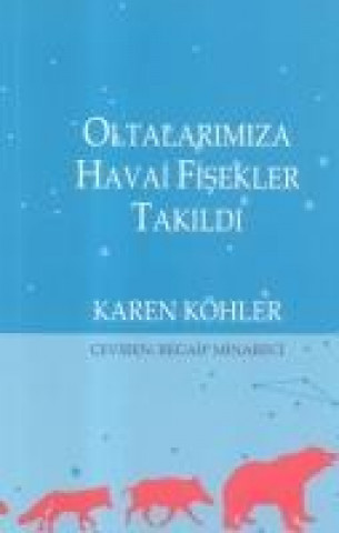 Książka Oltalarimiza Havai Fisekler Takildi Karen Köhler