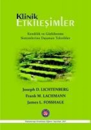 Buch Klinik Etkilesimler Joseph D. Lichtenberg