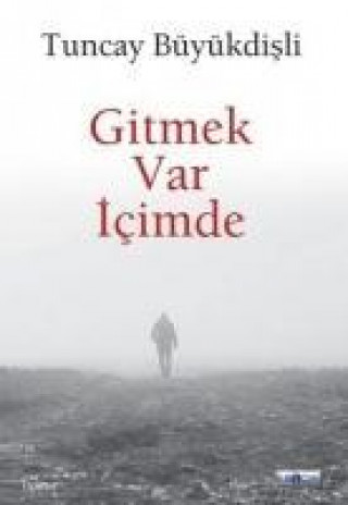 Kniha Gitmek Var Icimde Tuncay Büyükdisli