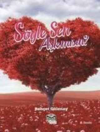 Boek Söyle Sen Ask misin Behcet Gülenay