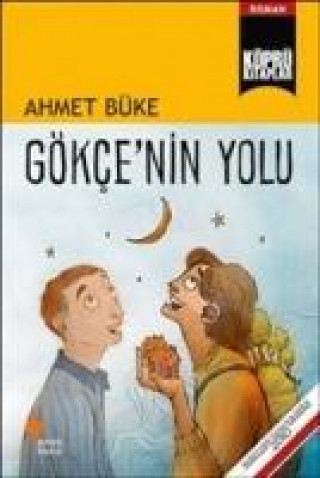 Książka Gökcenin Yolu Ahmet Büke