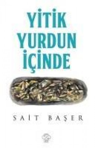Книга Yitik Yurdun Icinde Sait Baser