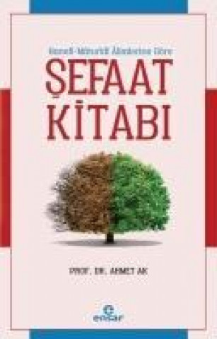 Knjiga Sefaat Kitabi Ahmet Ak
