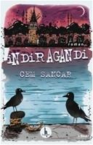 Book Indiragandi Cem Sancar