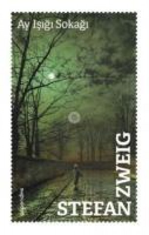 Книга Ay Isigi Sokagi Stefan Zweig