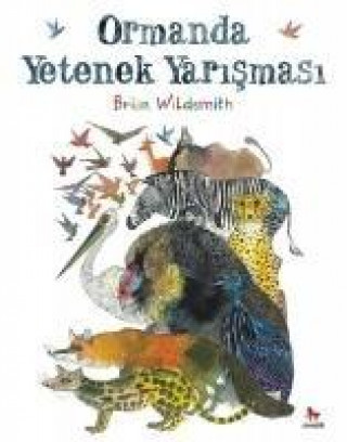 Könyv Ormanda Yetenek Yarismasi Brian Wildsmith