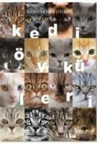 Knjiga Kedi Öyküleri Kadir Aydemir