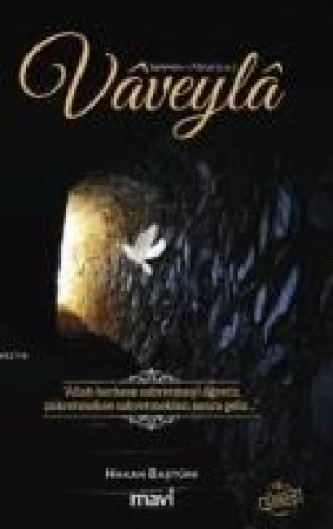 Knjiga Vaveyla Hakan Bastürk