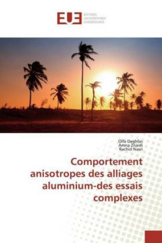 Kniha Comportement anisotropes des alliages aluminium-des essais complexes Olfa Daghfas