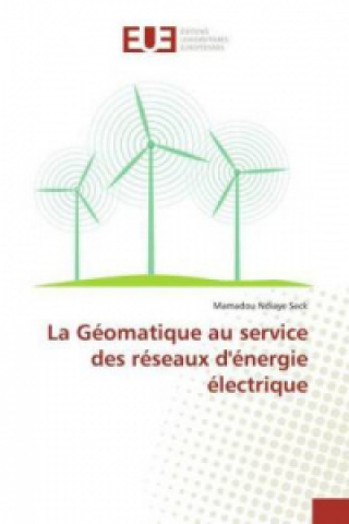 Knjiga La Géomatique au service des réseaux d'énergie électrique Mamadou Ndiaye Seck