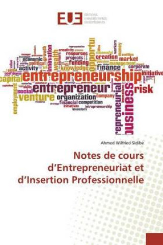 Buch Notes de cours d?Entrepreneuriat et d?Insertion Professionnelle Ahmed Wilfried Sidibe