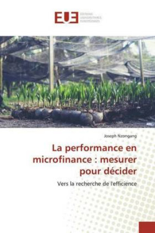 Книга La performance en microfinance : mesurer pour décider Joseph Nzongang