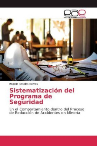 Kniha Sistematización del Programa de Seguridad Rogelio Rosales Ramos