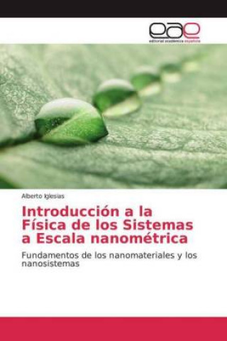 Carte Introducción a la Física de los Sistemas a Escala nanométrica Alberto Iglesias