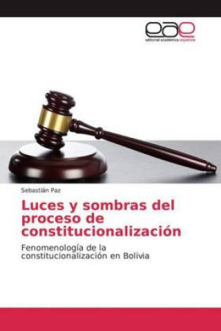 Książka Luces y sombras del proceso de constitucionalización Sebastián Paz