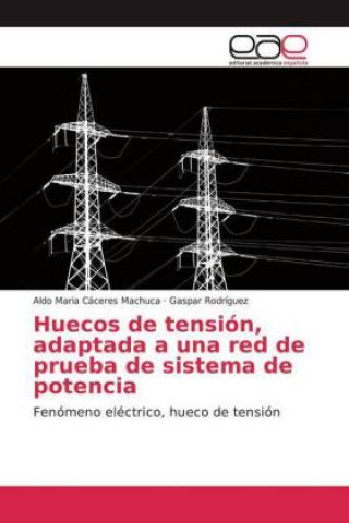 Könyv Huecos de tension, adaptada a una red de prueba de sistema de potencia Aldo Maria Cáceres Machuca