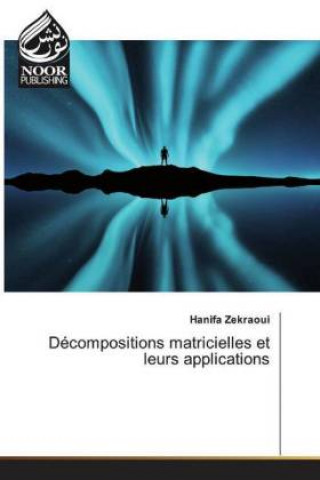 Livre Decompositions matricielles et leurs applications Hanifa Zekraoui