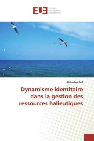 Kniha Dynamisme identitaire dans la gestion des ressources halieutiques Abdoulaye Fall