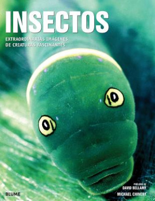 Knjiga Insectos Heiko Bellmann