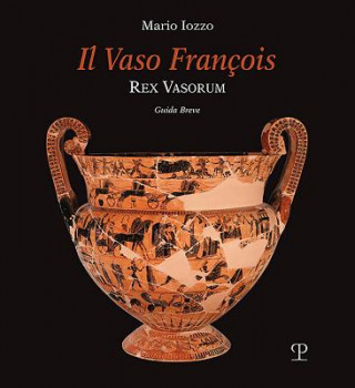Könyv Il Vaso François: Rex Vasorum Mario Iozzo