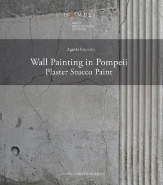 Kniha Wall Painting in Pompeii: Plaster, Stucco, Paint Agneta Freccero