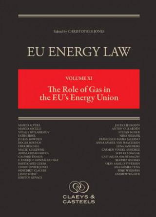 Kniha EU Energy Law Volume XI: The Role of Gas in the EU's Energy Union Miguel Arias Canete