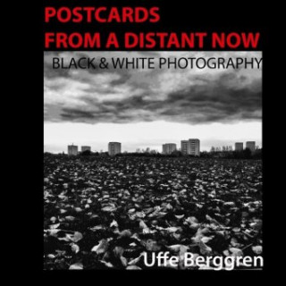 Kniha Postcards From a Distant Now Uffe Berggren