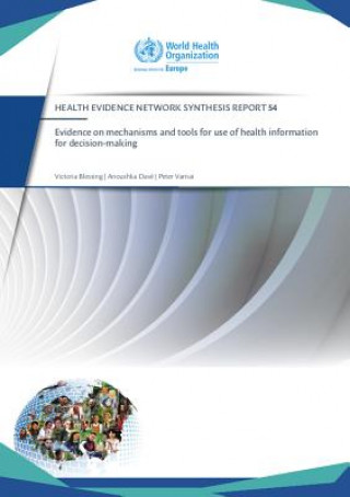 Könyv Evidence on Mechanisms and Tools for Use of Health Information for Decision-Making Victoria Blessing