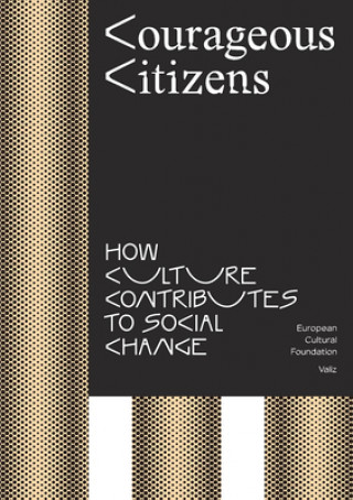 Könyv Courageous Citizens: How Culture Contributes to Social Change Bas LaFleur