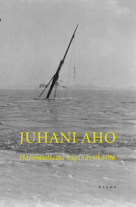 Kniha Hajamietteitä kapinaviikoilta Juhani Aho