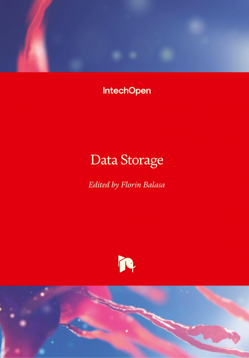 Carte Data Storage Florin Balasa