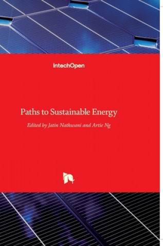 Boek Paths to Sustainable Energy Artie Ng