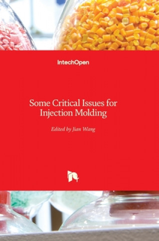 Buch Some Critical Issues for Injection Molding Jian Wang