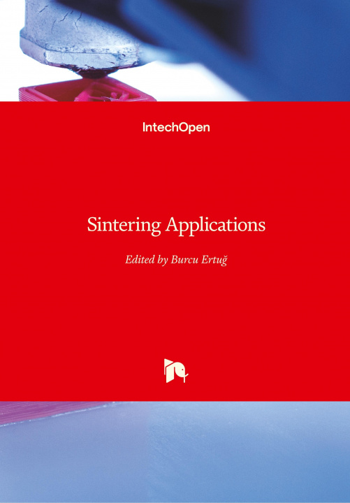 Kniha Sintering Applications Burcu Ertug